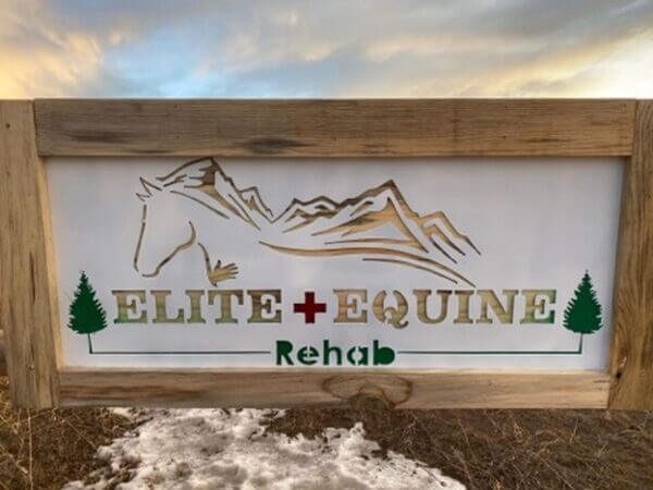 Custom sign that was made for Elite and Equine Rehab